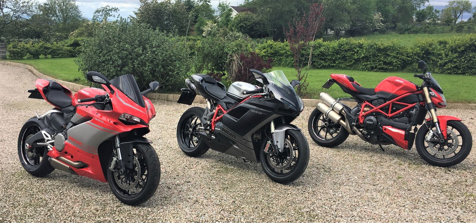 Three Ducs.JPG