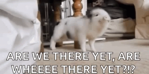 vvv.gif