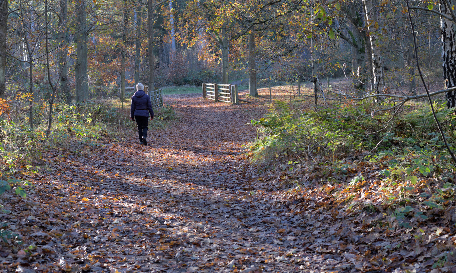 walk1.JPG