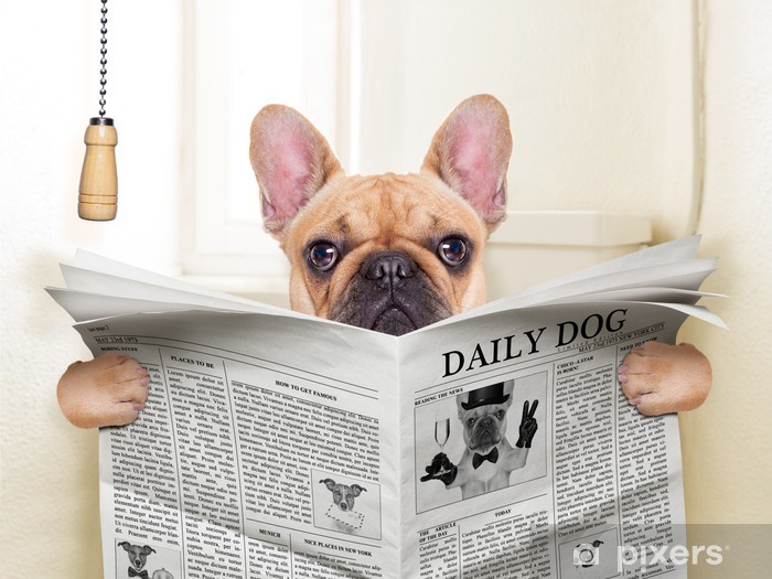 wall-murals-dog-toilet.jpg.jpg