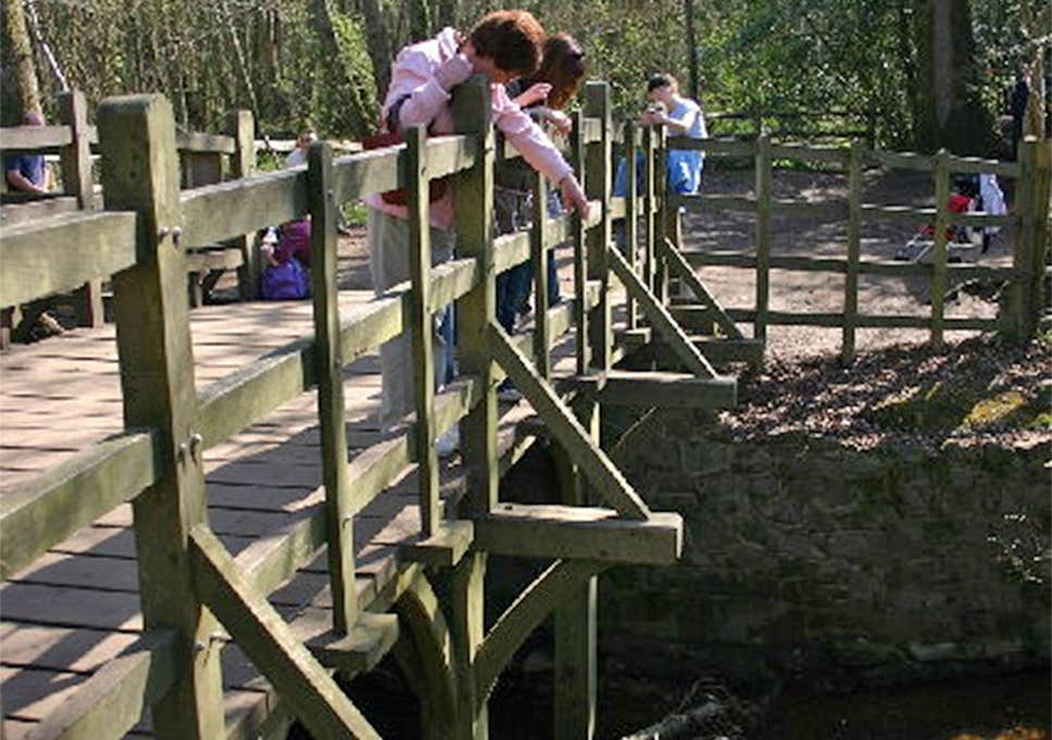 web-poohsticks-wiki.jpg