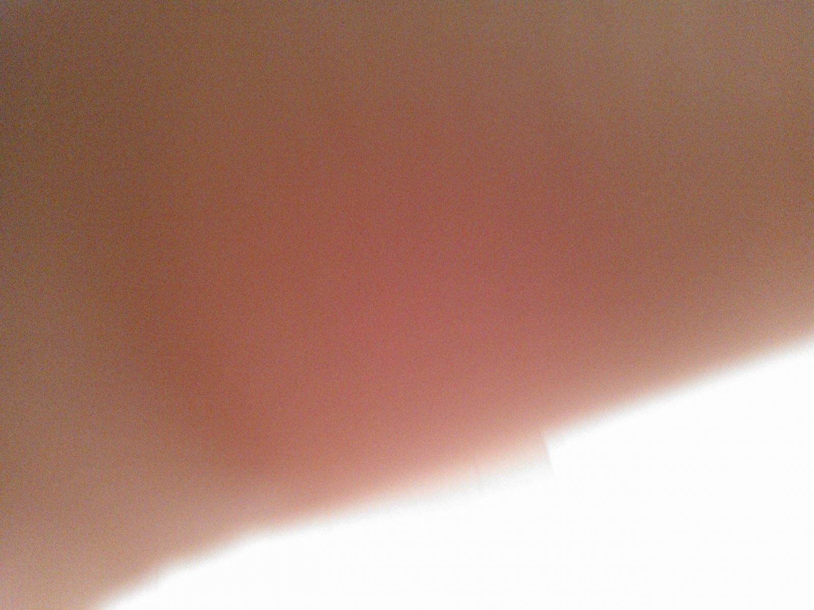 WP_000367.jpg