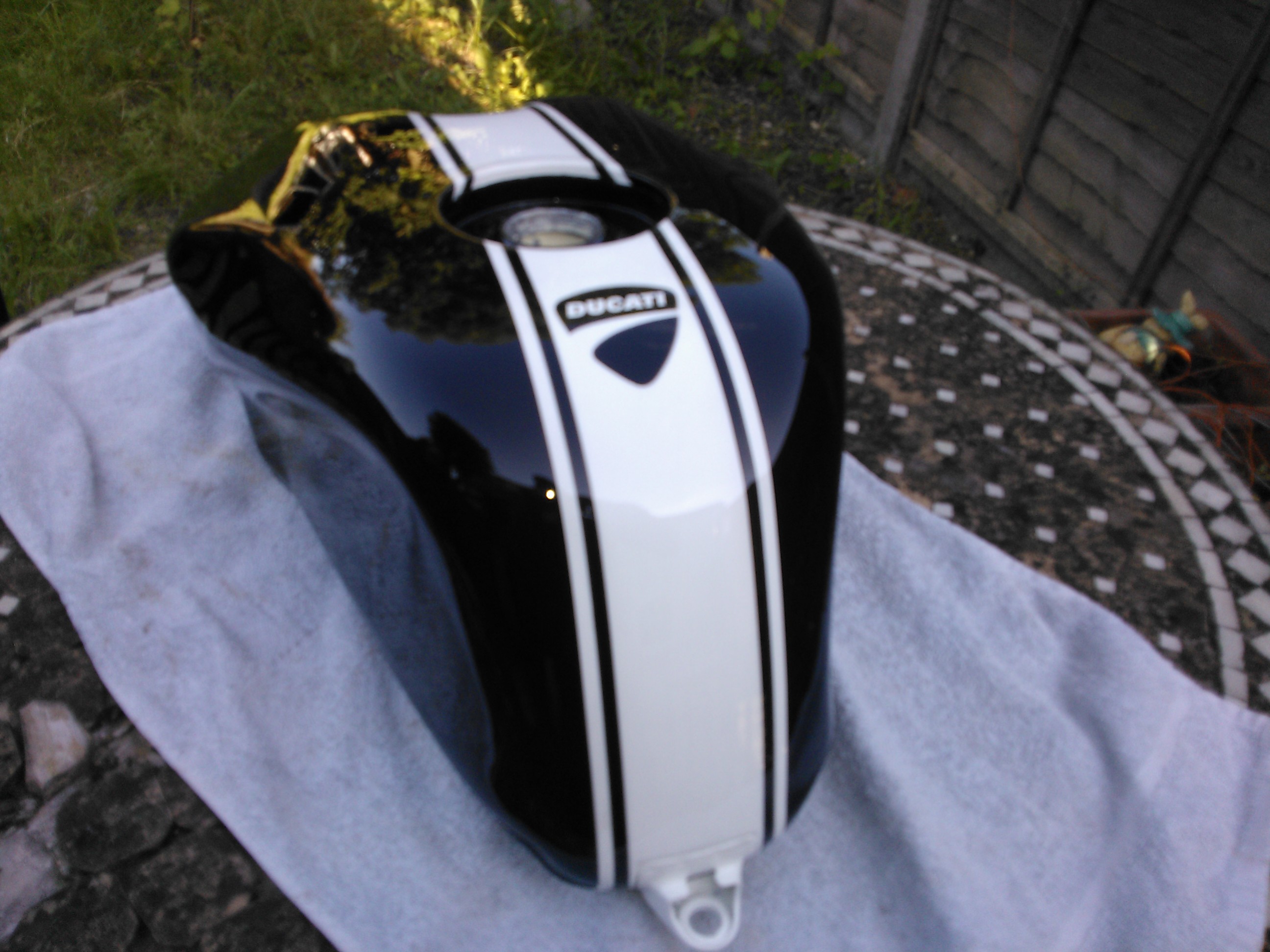 WP_000843.jpg