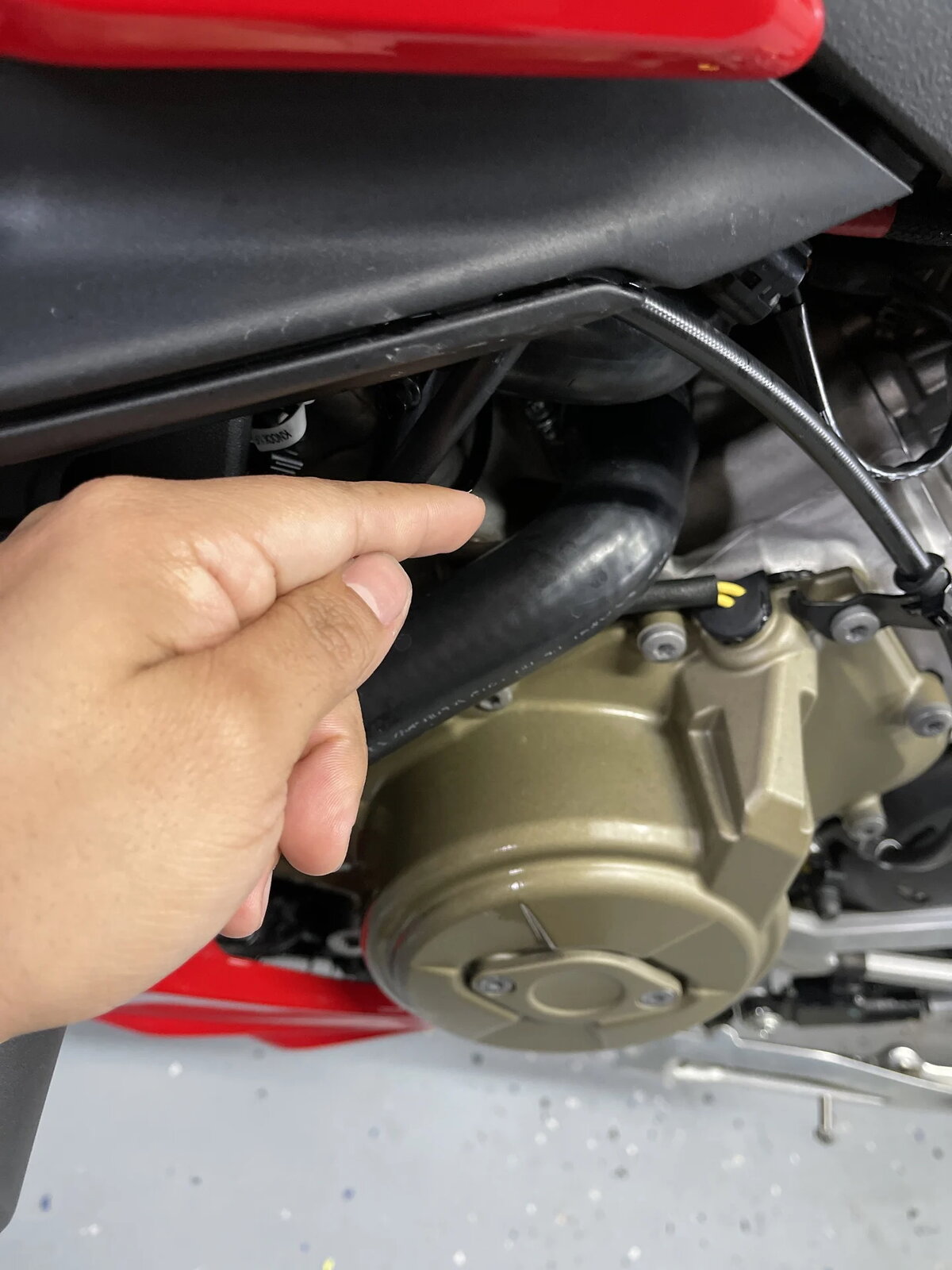 www.ducati-1.jpg