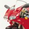 duc nose....jpg