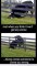 moo.jpg