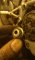 IMAG0166.jpg