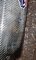 20220115_100629.jpg