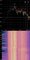 MTS1200_Spectroid.jpg