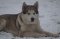 ImageUploadedByTapatalk1349189699.313987.jpg