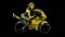 Humans only - no bike.jpg
