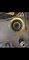 Screenshot_20250324-131716_Gallery.jpg
