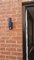 IMG-20250429-WA0004.jpeg