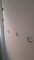 IMG-20250429-WA0003.jpeg
