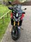 Duc 2.jpg