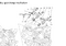 upload_2025-5-25_12-21-52.png