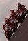 FB_IMG_1750438902243.jpg