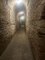 IMG_8862.jpeg