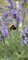 IMG_2816.jpeg