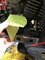 upload_2025-6-23_19-50-38.jpeg