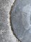 IMG_1244.jpeg
