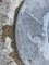IMG_1241.jpeg