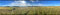 IMG_4915.jpeg