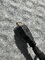 IMG_9514.jpeg