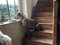 IMG_2899.jpeg