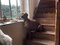IMG_2901.jpeg