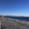 IMG_2150.jpeg
