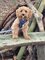 upload_2025-9-13_19-34-34.jpeg