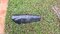 IMG-20250923-WA0011.jpeg