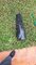 IMG-20250923-WA0010.jpeg