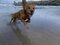 upload_2025-9-27_18-9-50.jpeg