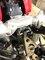 upload_2025-10-19_17-53-0.jpeg