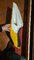 IMG-20251005-WA0012.jpeg