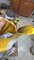 IMG-20251005-WA0058.jpeg