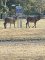 IMG_3404.jpeg