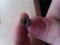 IMAG0193.jpg