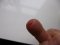 P1000260.jpg