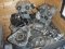 heads lot 003.jpg