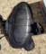 25.PNG