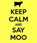 Moo!