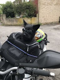 m@tt