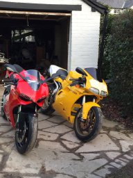 Ducatiads
