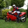 ALFAMAN156