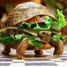 Mark_h