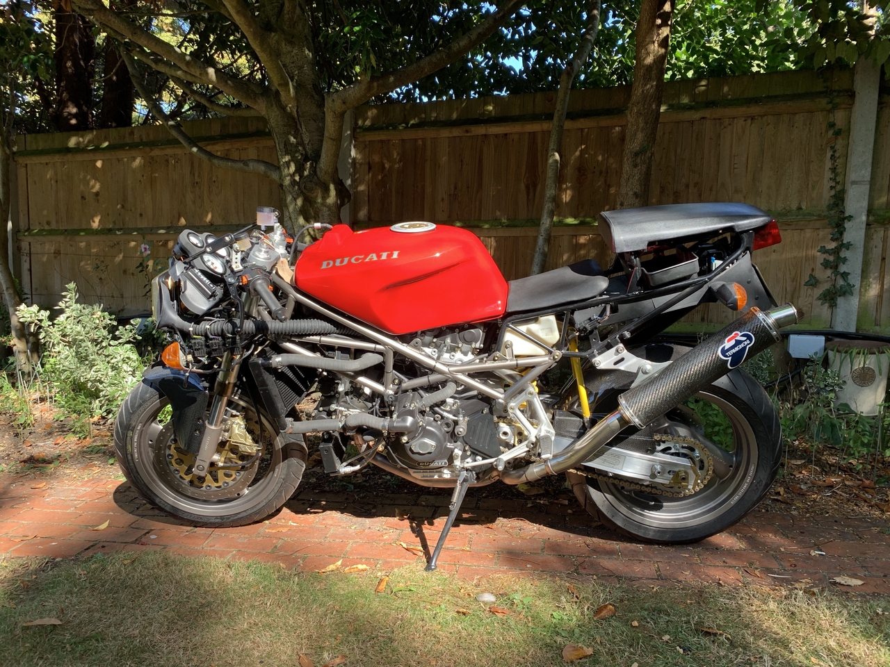 Out in daylight at last