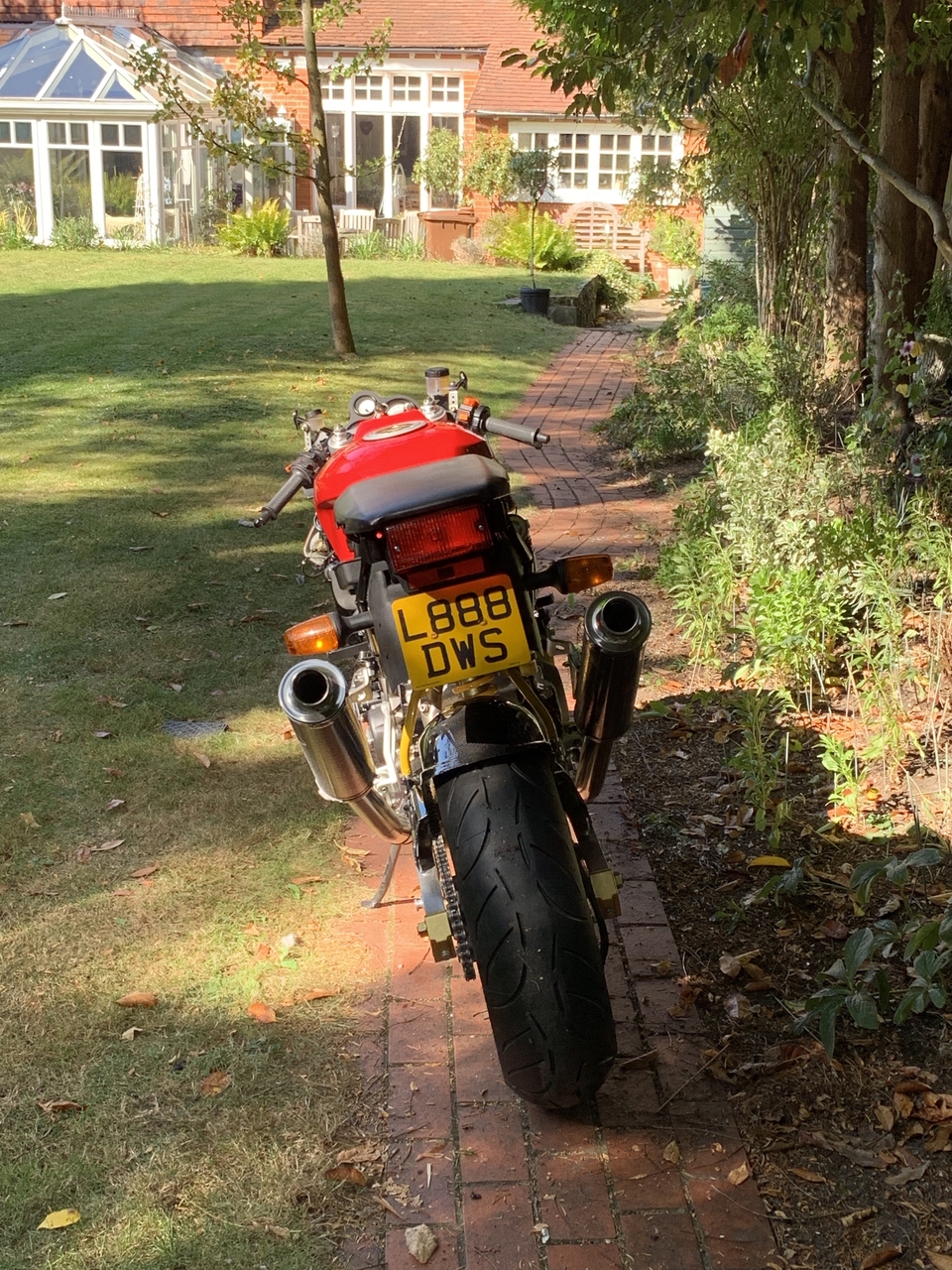 Out in daylight at last